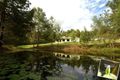Property photo of 329 Diddillibah Road Diddillibah QLD 4559