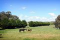 Property photo of 8 Boundary Road Maldon VIC 3463