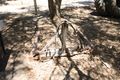 Property photo of 541 Restdown Road Rochester VIC 3561