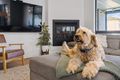 Property photo of 20 Troode Street Lake Coogee WA 6166