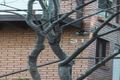 Property photo of 31 Como Road Oyster Bay NSW 2225