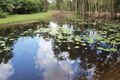 Property photo of 25 Smyth Road Howard Springs NT 0835