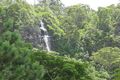 Property photo of 87 Reynolds Road Currumbin Valley QLD 4223