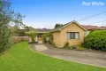 Property photo of 18 Barbara Avenue Dandenong North VIC 3175