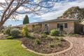 Property photo of 61 Casuarina Avenue Surrey Downs SA 5126