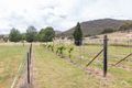 Property photo of 1 Rimmers Lane Adelong NSW 2729