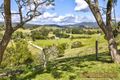 Property photo of 23 Butts Creek Road Taylors Arm NSW 2447