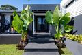 Property photo of 138 Heeb Street Benowa QLD 4217