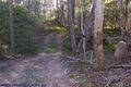 Property photo of 110 Old Caves Road Applethorpe QLD 4378