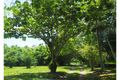 Property photo of 2017 Tully Mission Beach Road Wongaling Beach QLD 4852