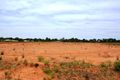 Property photo of 13 Carra Court Nichols Point VIC 3501