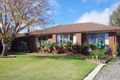 Property photo of 4 Shaw Court Numurkah VIC 3636