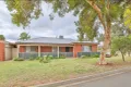 Property photo of 49 Nardoo Street Red Cliffs VIC 3496
