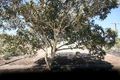 Property photo of 7 Keith Crescent Marino SA 5049