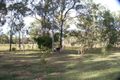 Property photo of 176 Hedlow Road Cawarral QLD 4702