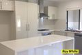 Property photo of 29 Armada Crescent Jubilee Pocket QLD 4802