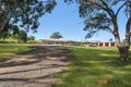 Property photo of 9 McDougall Close McDougalls Hill NSW 2330