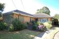 Property photo of 51 Angus Avenue Edwardstown SA 5039