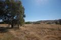 Property photo of 1533 Oura Road Oura NSW 2650