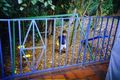 Property photo of 64 Bowman Parade Bardon QLD 4065