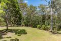 Property photo of 45 Palm Grove Arakoon NSW 2431