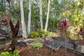 Property photo of 23 Forest Ridge Circuit Peregian Springs QLD 4573