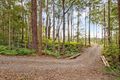 Property photo of 134 Wappa Falls Road Yandina QLD 4561