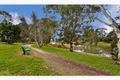 Property photo of 49 Clyde Avenue Lockleys SA 5032