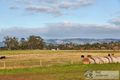 Property photo of 106 Mills Road Warragul VIC 3820