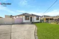 Property photo of 11 Ida Avenue Lurnea NSW 2170
