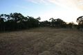 Property photo of 24 Trade Wind Drive Tanby QLD 4703