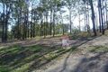 Property photo of 11 Cadagi Close Cedar Vale QLD 4285