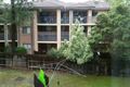 Property photo of 6-8 Lichen Place Westmead NSW 2145