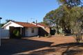 Property photo of 1 Myoporum Street Kambalda West WA 6442