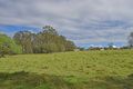 Property photo of 1/35 Exmouth Street Lawrence NSW 2460