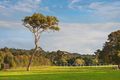 Property photo of 9 Copse Way Cowaramup WA 6284