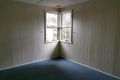Property photo of 30 South Street Crows Nest QLD 4355