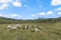 Property photo of 862 Pappinbarra Road Lower Pappinbarra NSW 2446