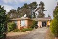 Property photo of 17 Irvine Avenue Blackheath NSW 2785