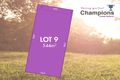 Property photo of LOT 9/165 Ballarat-Carngham Road Winter Valley VIC 3358