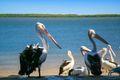 Property photo of 21 Moorshead Avenue Golden Beach QLD 4551
