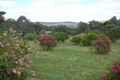 Property photo of 56 Balinga Drive Balingup WA 6253