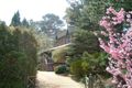 Property photo of 14 Olympian Parade Leura NSW 2780