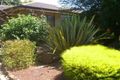 Property photo of 110 Walker Street Cobden VIC 3266