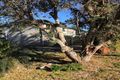 Property photo of 13-15 Native Way Moruya Heads NSW 2537