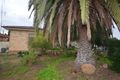 Property photo of 11 Gilbert Avenue Pinnaroo SA 5304