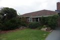 Property photo of 23 Connolly Avenue Coburg VIC 3058