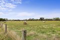 Property photo of 1337 Stumpy Gully Road Moorooduc VIC 3933