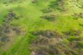 Property photo of 1822 Castlereagh Highway Cudgegong NSW 2850