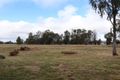 Property photo of 59 Howitt Street Charleville QLD 4470